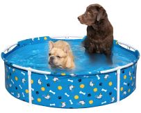 Frame pool for dogs Bestway 561KM (122x30.5 cm)