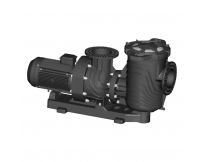 Pump Aquaviva LX SEQ400T (380 V, 60 m3/h, 4 HP), plastic stand
